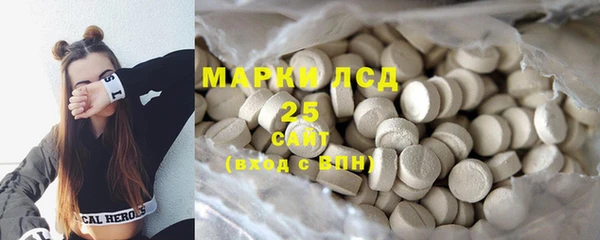 PSILOCYBIN Белокуриха