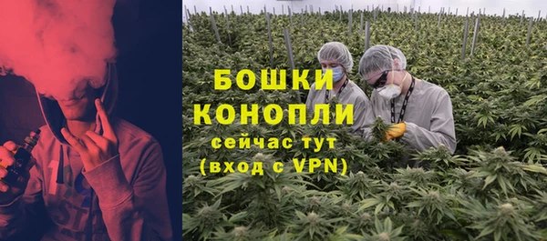 PSILOCYBIN Белокуриха