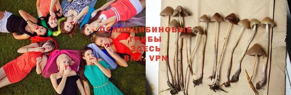 мет Балабаново
